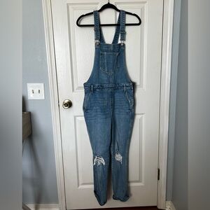 Old Navy Blue Denim Distressed Overalls with Zip sides